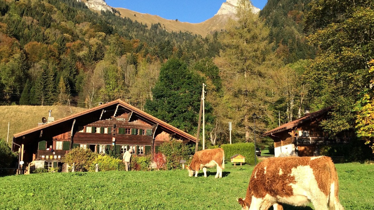 Photo of Outdoor in Les Plans-sur-Bex