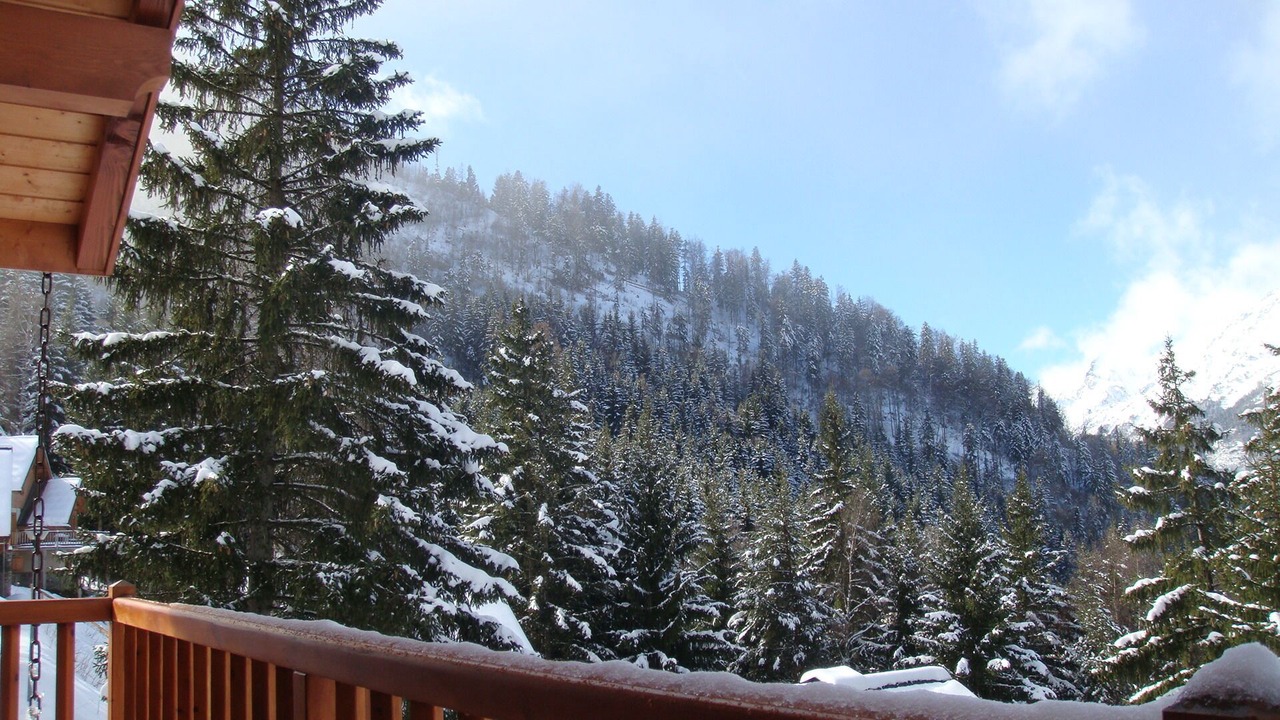 Photo of Patio Balcony in Oz-en-Oisans