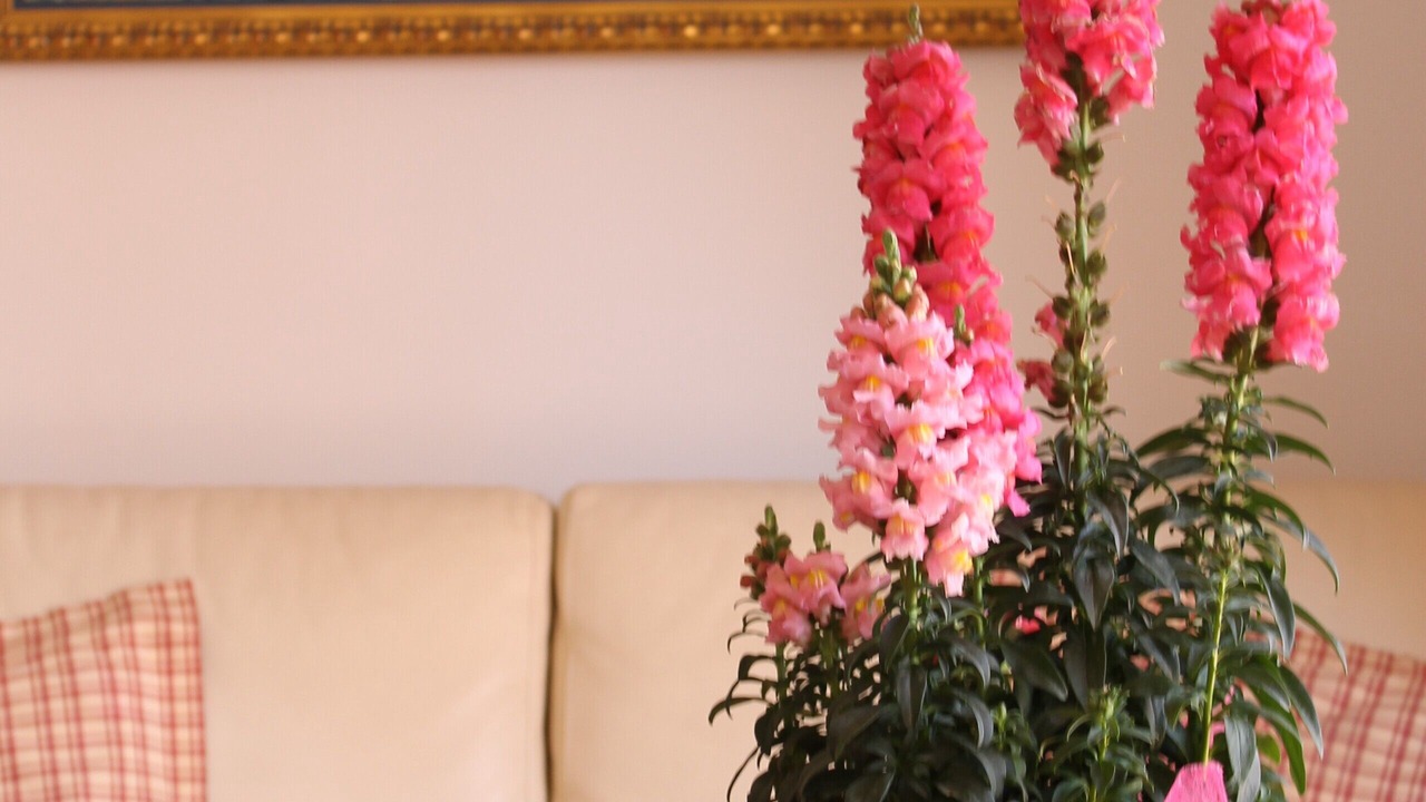 Photo of Livingroom in Altea la Vella