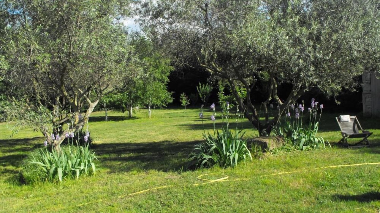 Photo of Outdoor in Caderousse