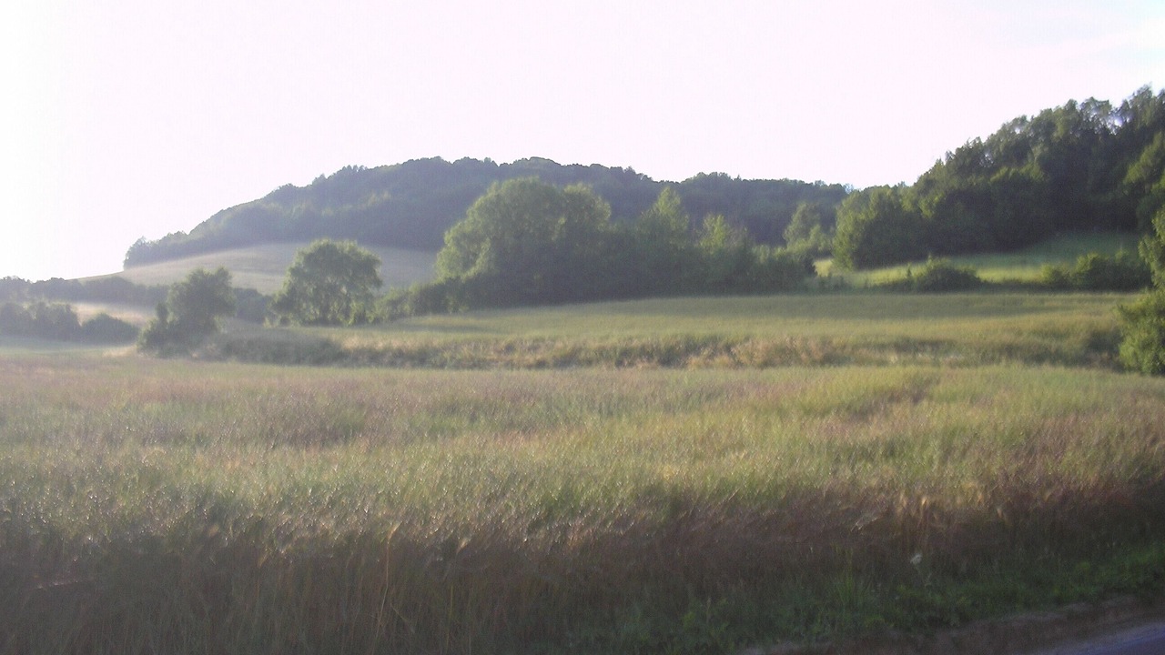 Photo of Others in Licques