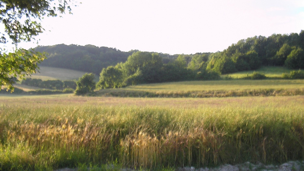 Photo of Outdoor in Licques