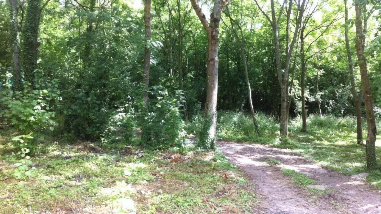 Photo of Outdoor in Licques