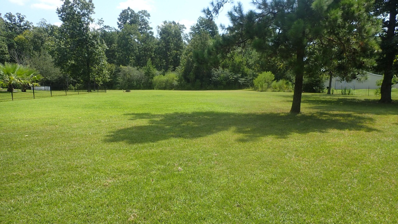 Photo of Others in Montgomery