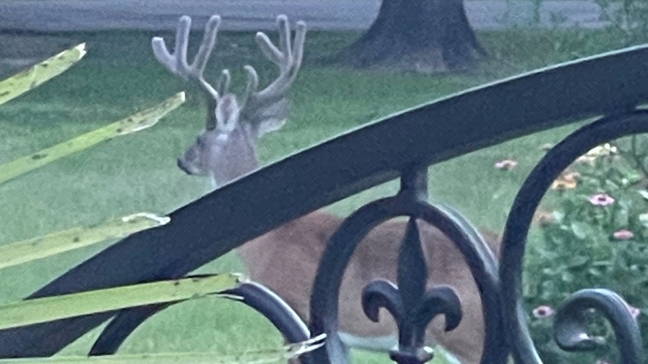 Photo of Others in Montgomery