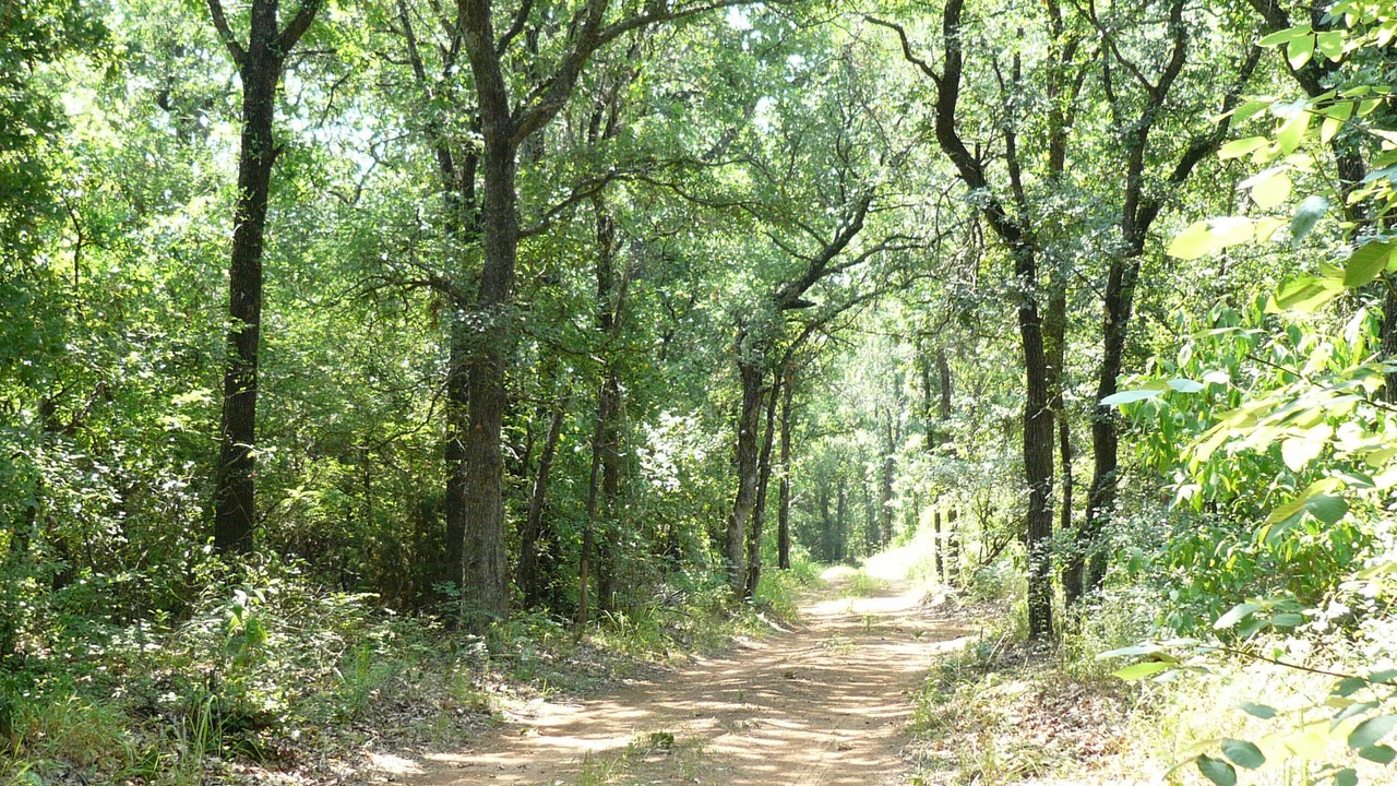 Photo of Others in Hillsboro