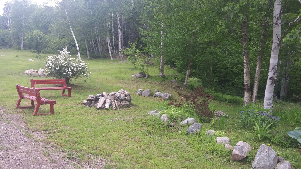 Photo of Outdoor in New Harris