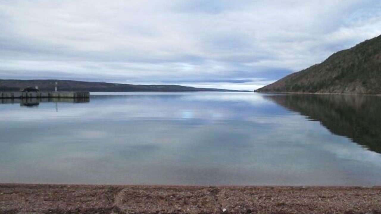 Photo of Others in New Harris