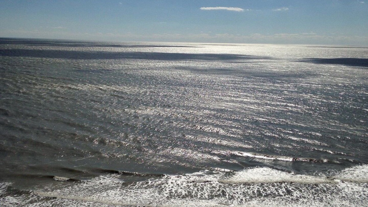 Photo of Others in Myrtle Beach