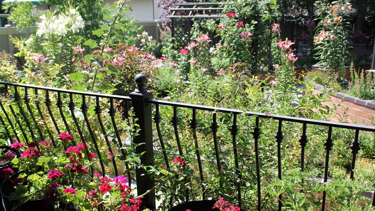 Photo of Outdoor in Taylorsville