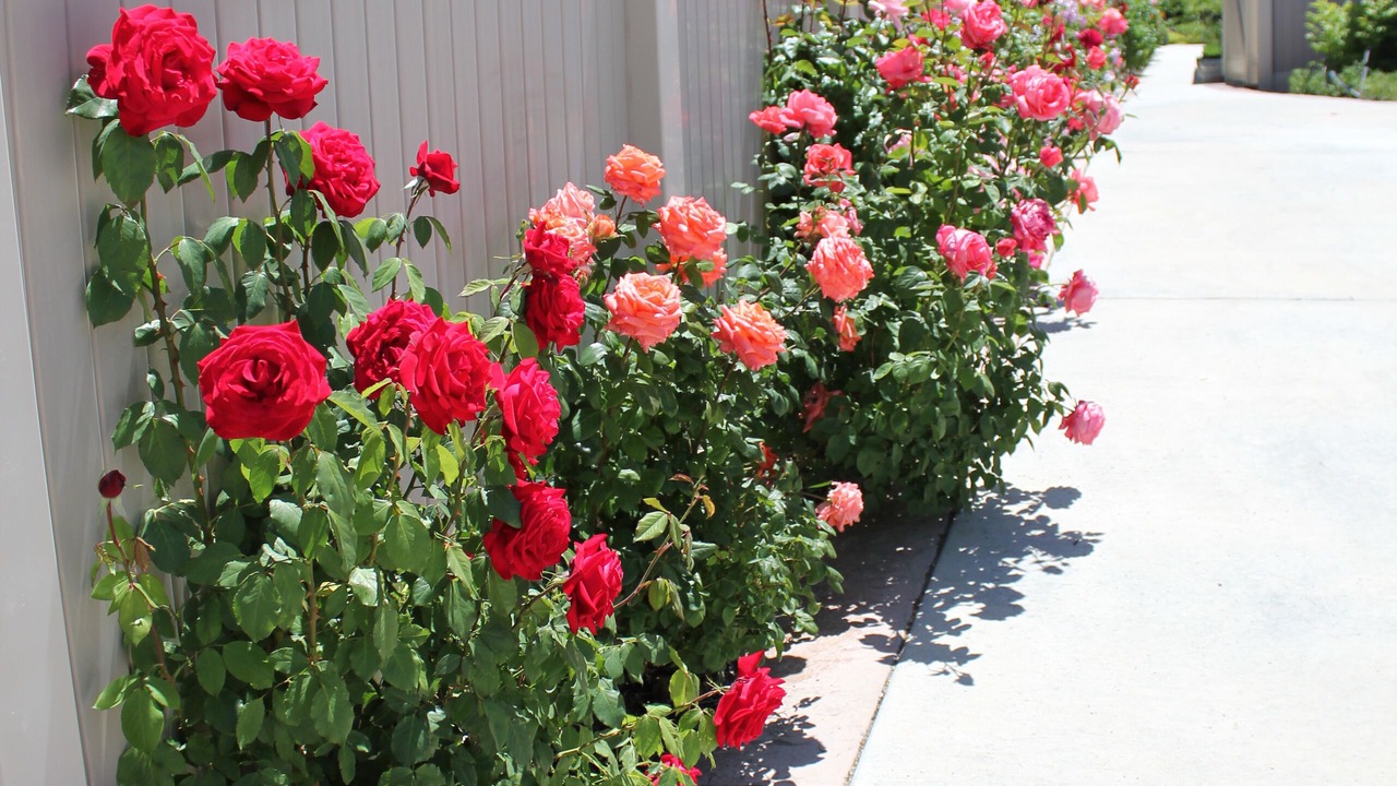 Photo of Outdoor in Taylorsville