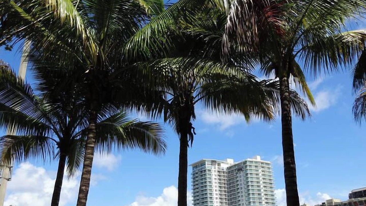 Photo of Others in Coconut Grove