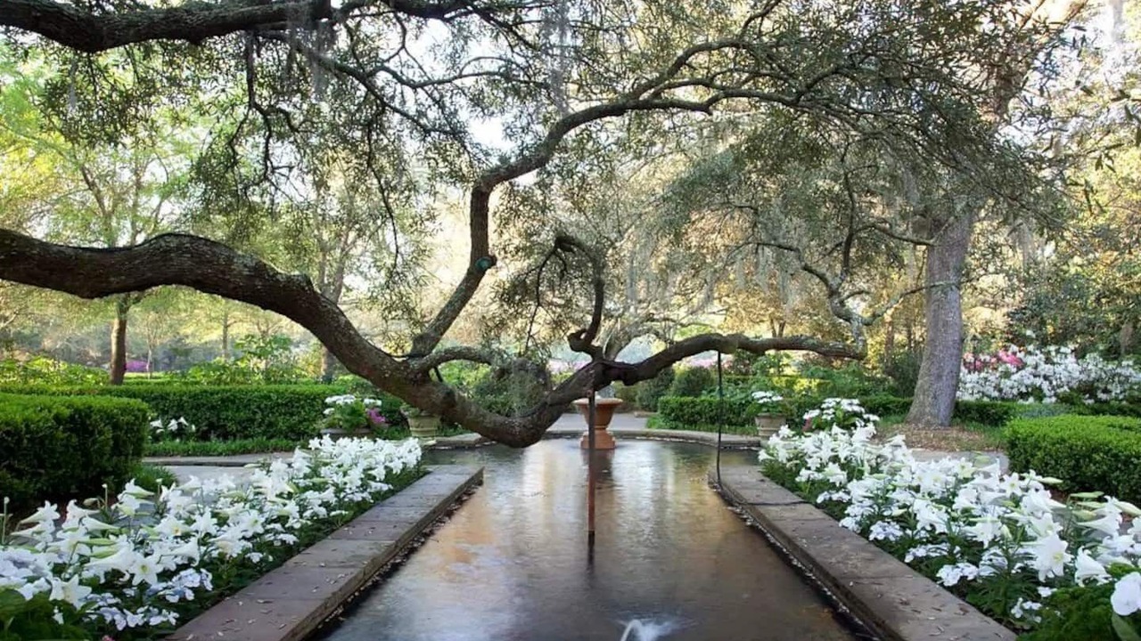 Photo of Outdoor in Mobile
