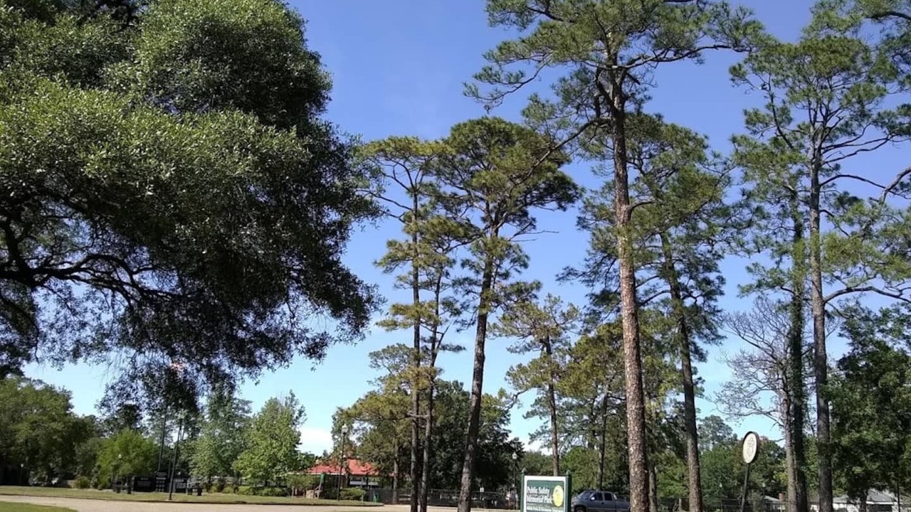 Photo of Others in Mobile