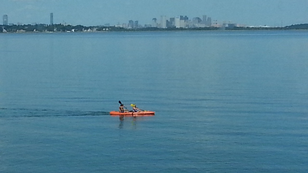 Photo of Others in Quincy