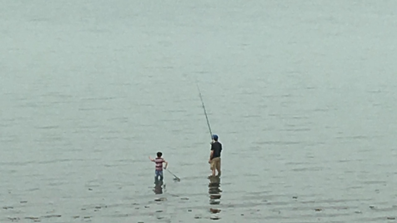 Photo of Others in Quincy