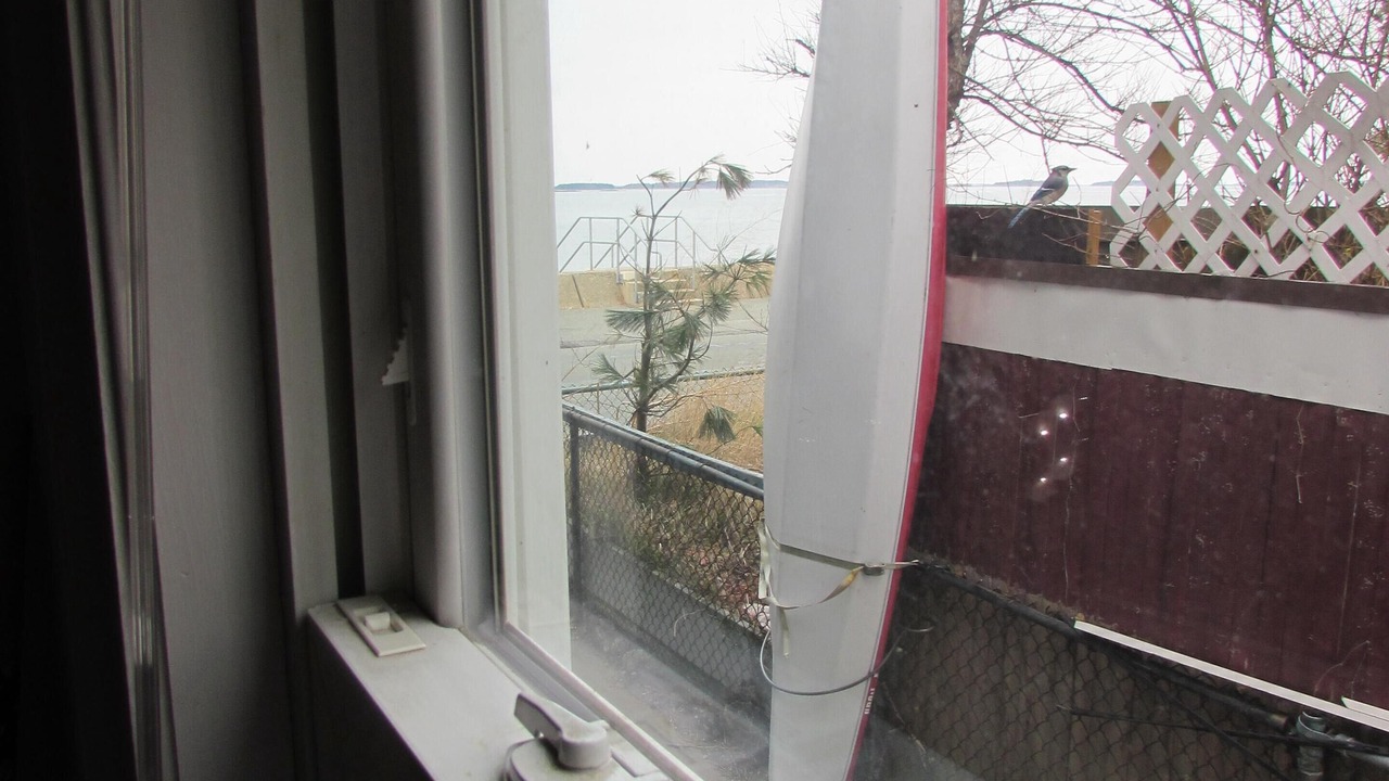 Photo of Others in Quincy