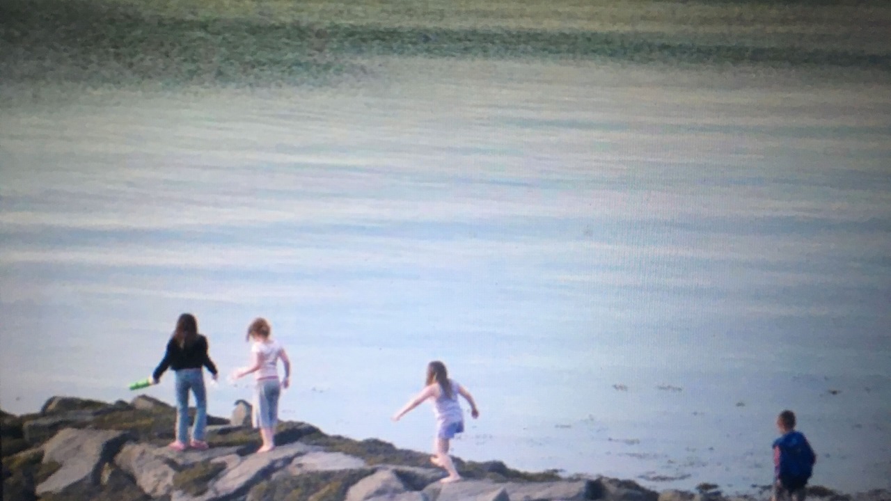 Photo of Others in Quincy