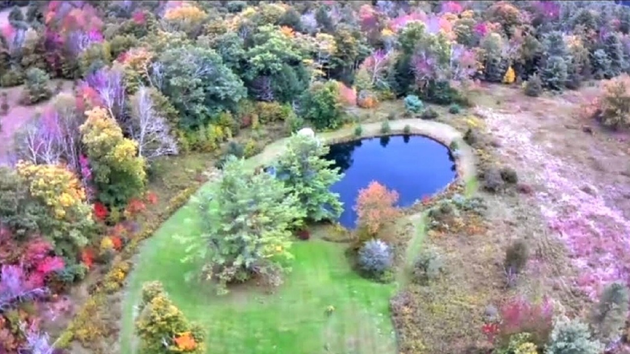 Photo of Outdoor in Prattsville