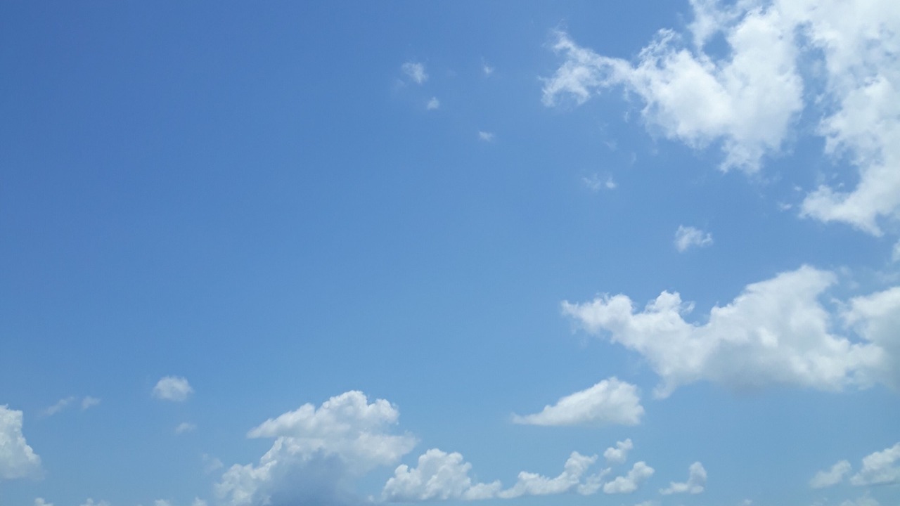 Photo of Others in Bacliff