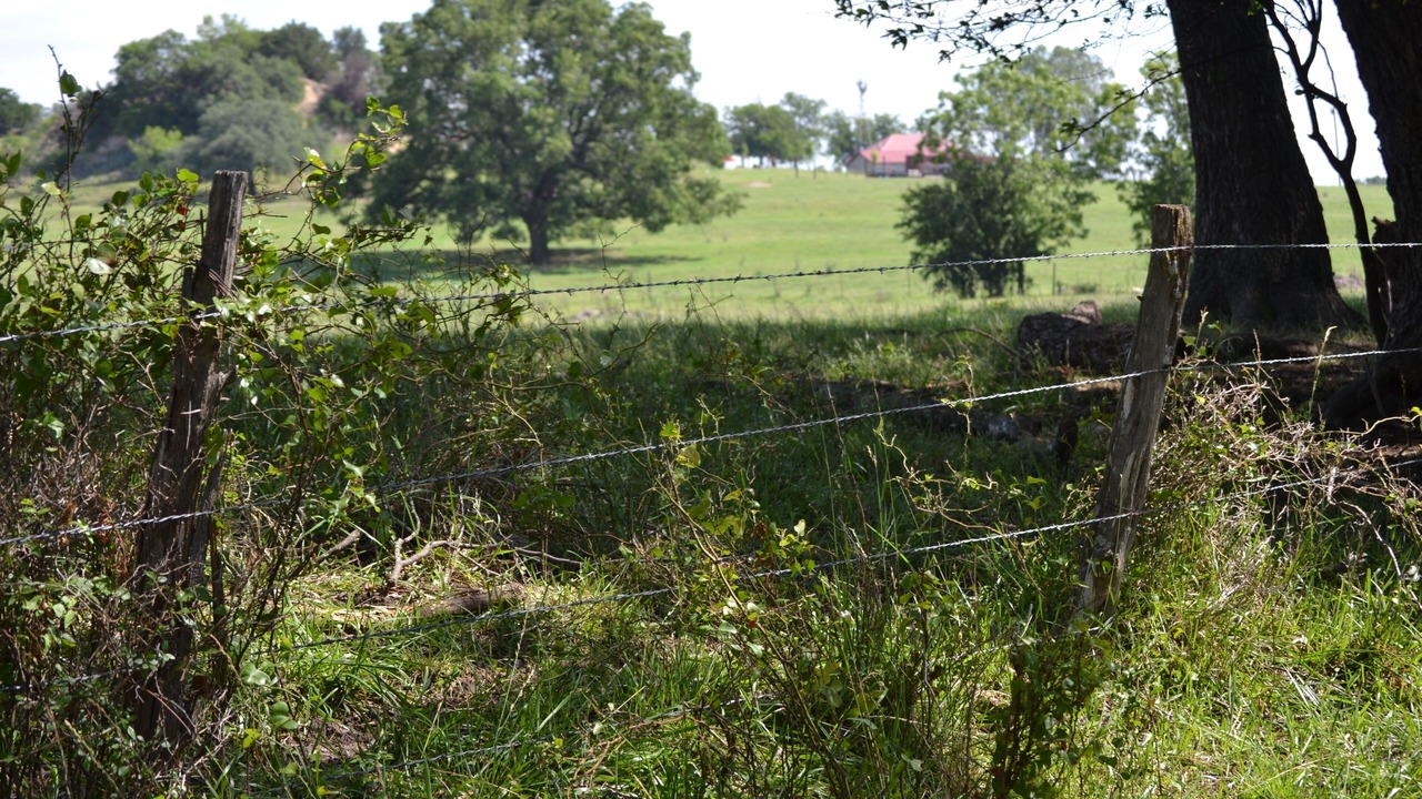 Photo of Outdoor in Weatherford