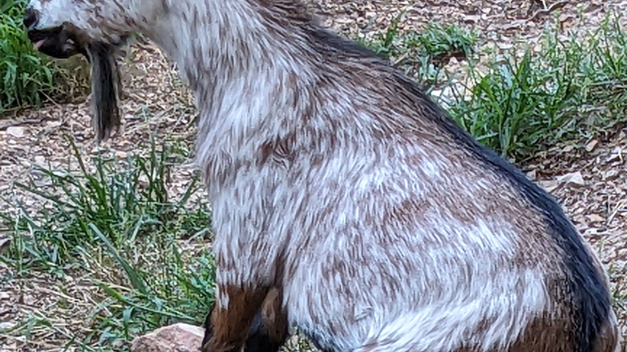 Photo of Others in Eureka Springs