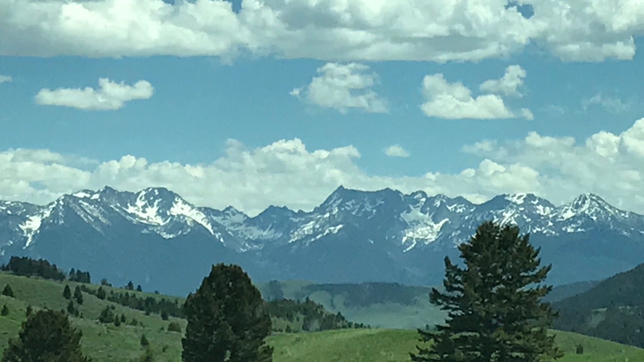 Photo of Others in Emigrant