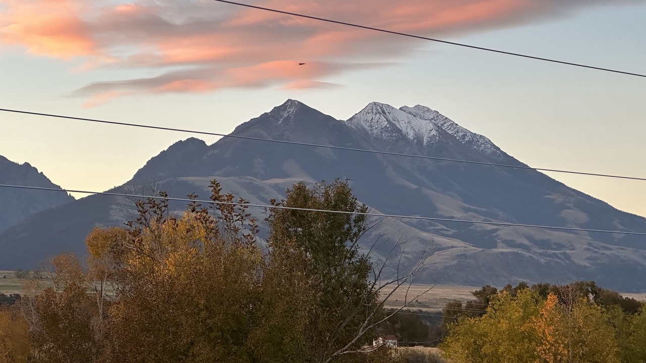 Photo of Others in Emigrant