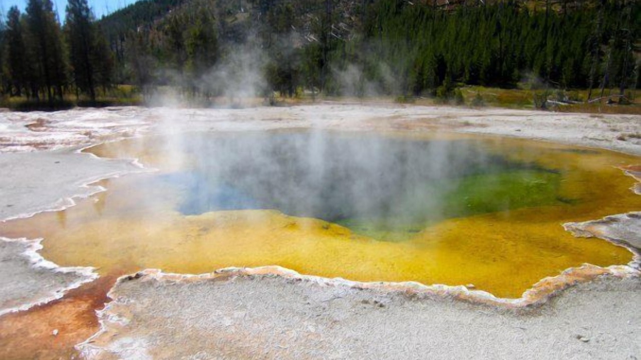 Photo of Others in Emigrant