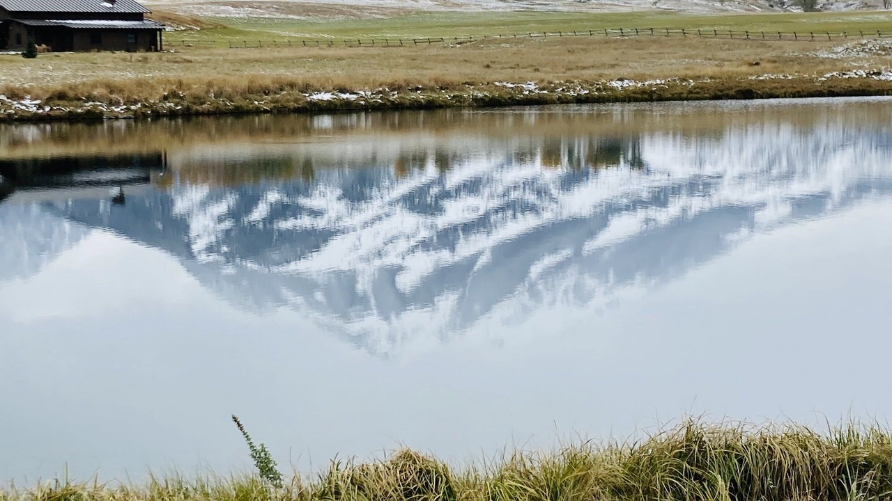 Photo of Others in Emigrant