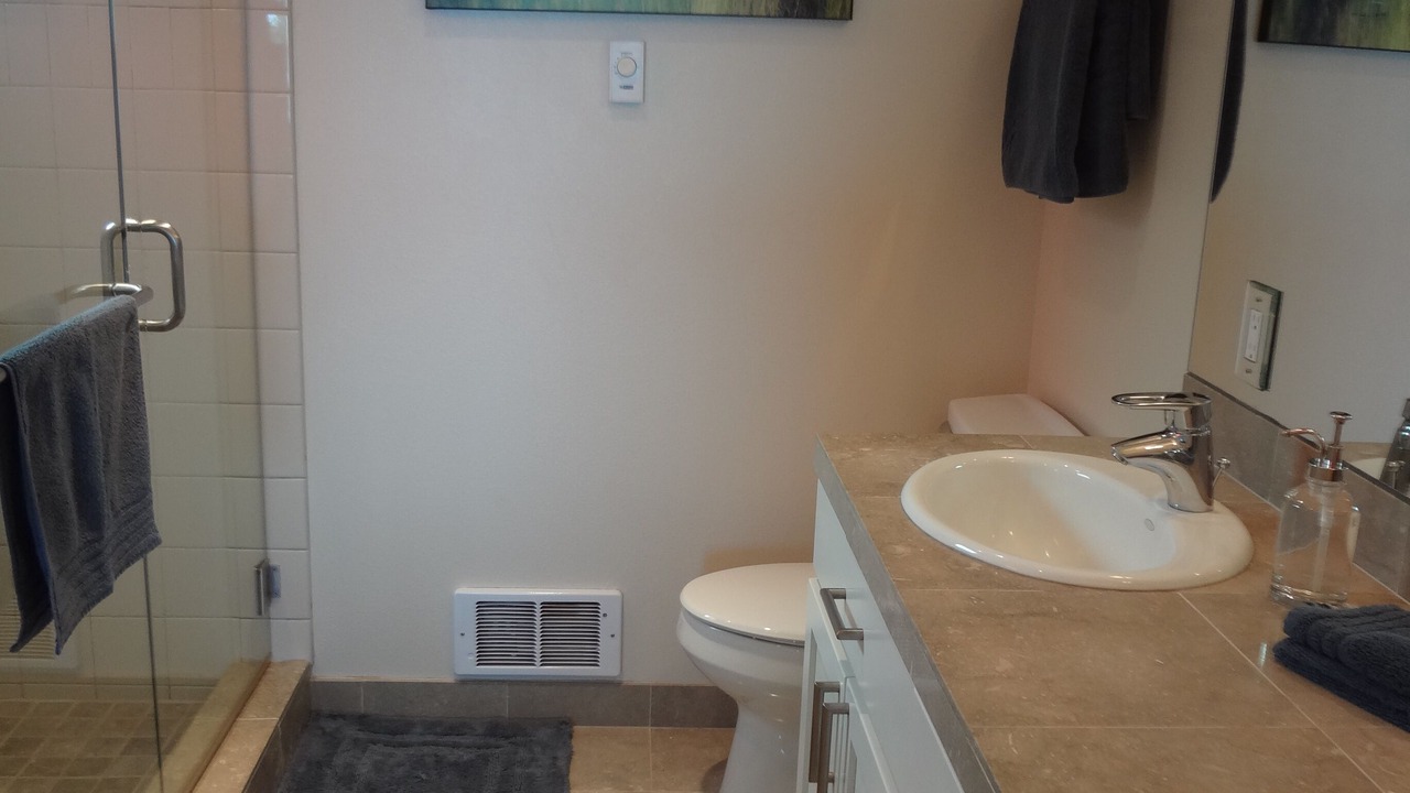 Photo of Others in North Admiral