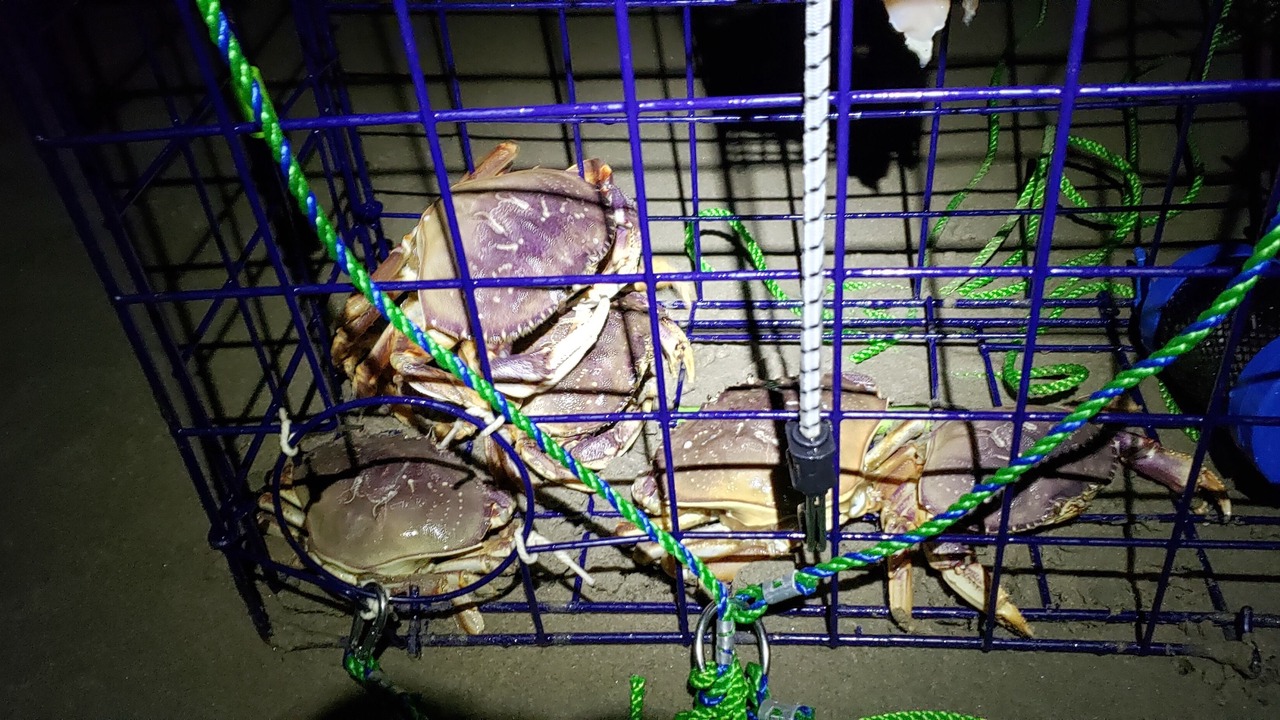 Photo of Others in Happy Camp Hideaway