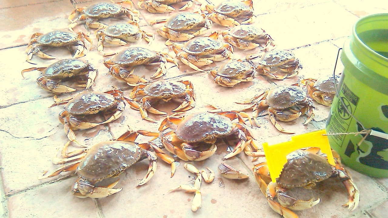 Photo of Others in Happy Camp Hideaway