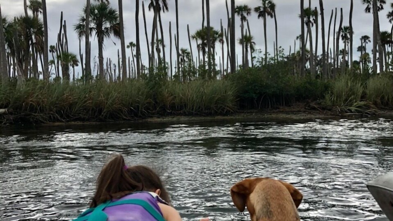 Photo of Outdoor in Weeki Wachee Gardens