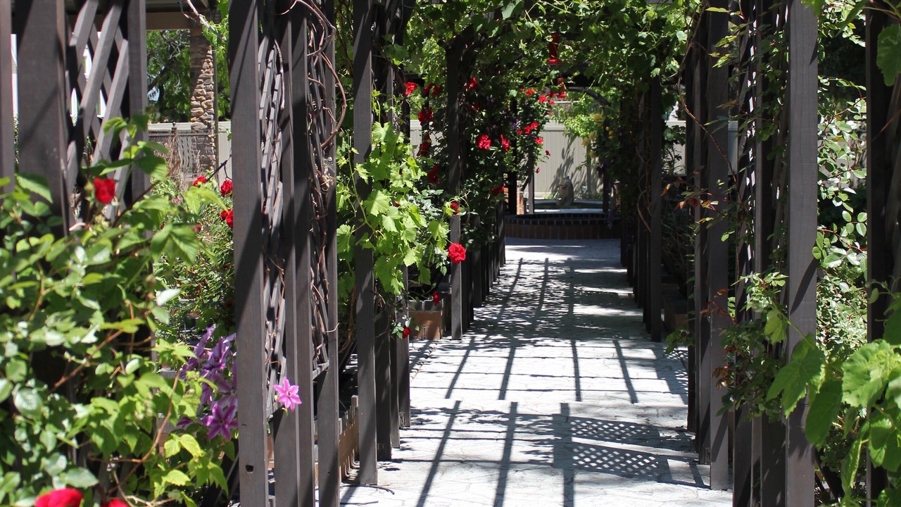 Photo of Outdoor in West Jordan