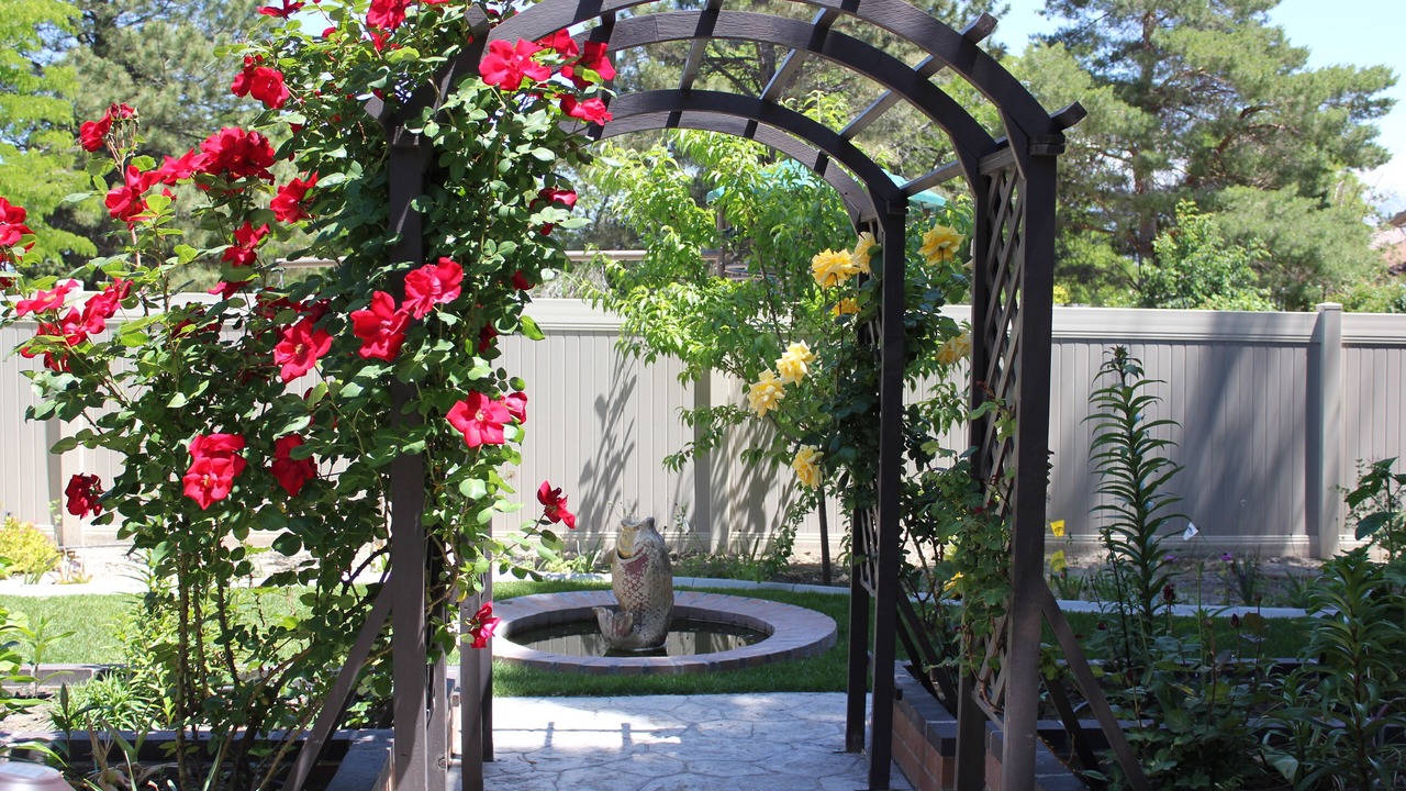 Photo of Outdoor in West Jordan