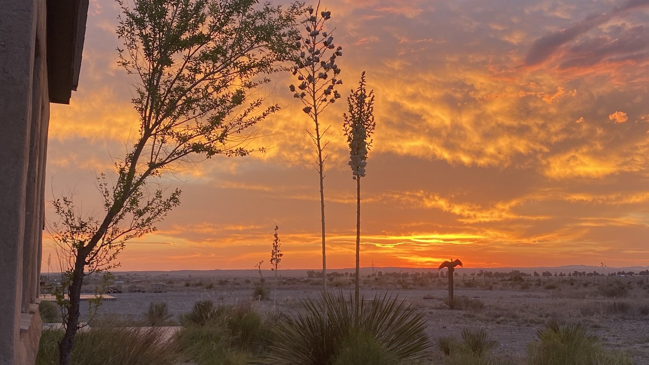 Photo of Others in Marfa