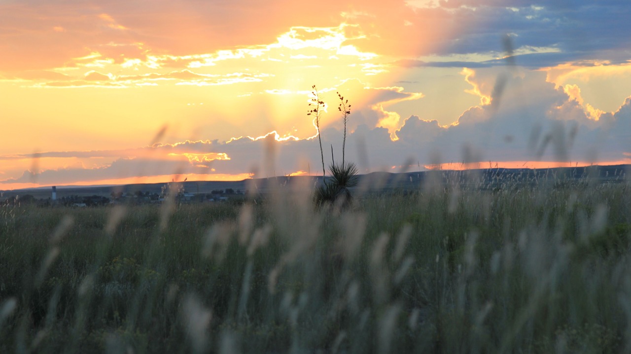 Photo of Others in Marfa