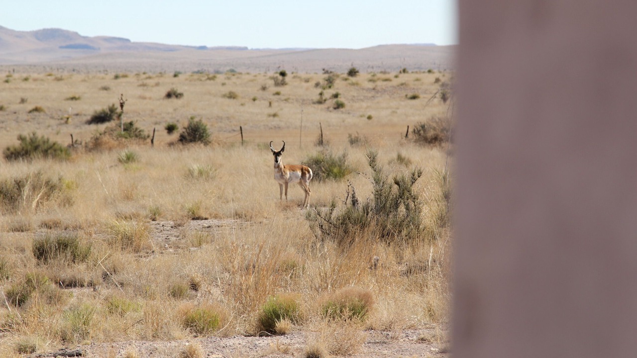Photo of Others in Marfa