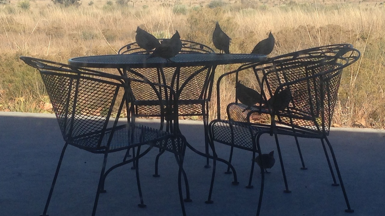 Photo of Others in Marfa
