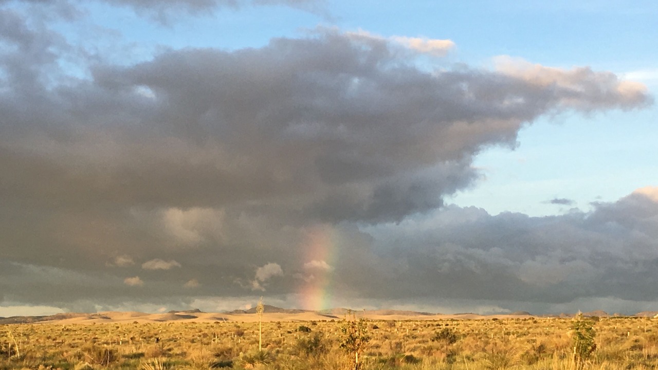 Photo of Others in Marfa
