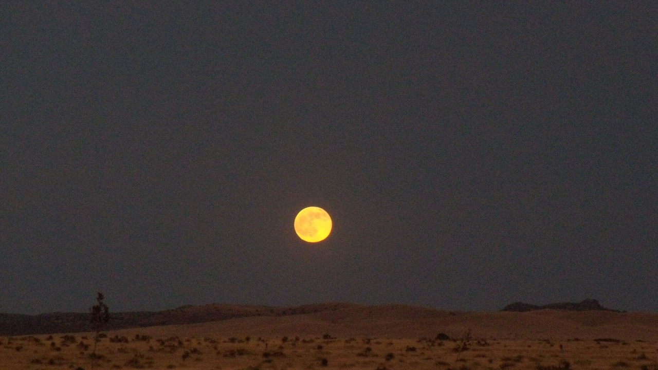 Photo of Outdoor in Marfa