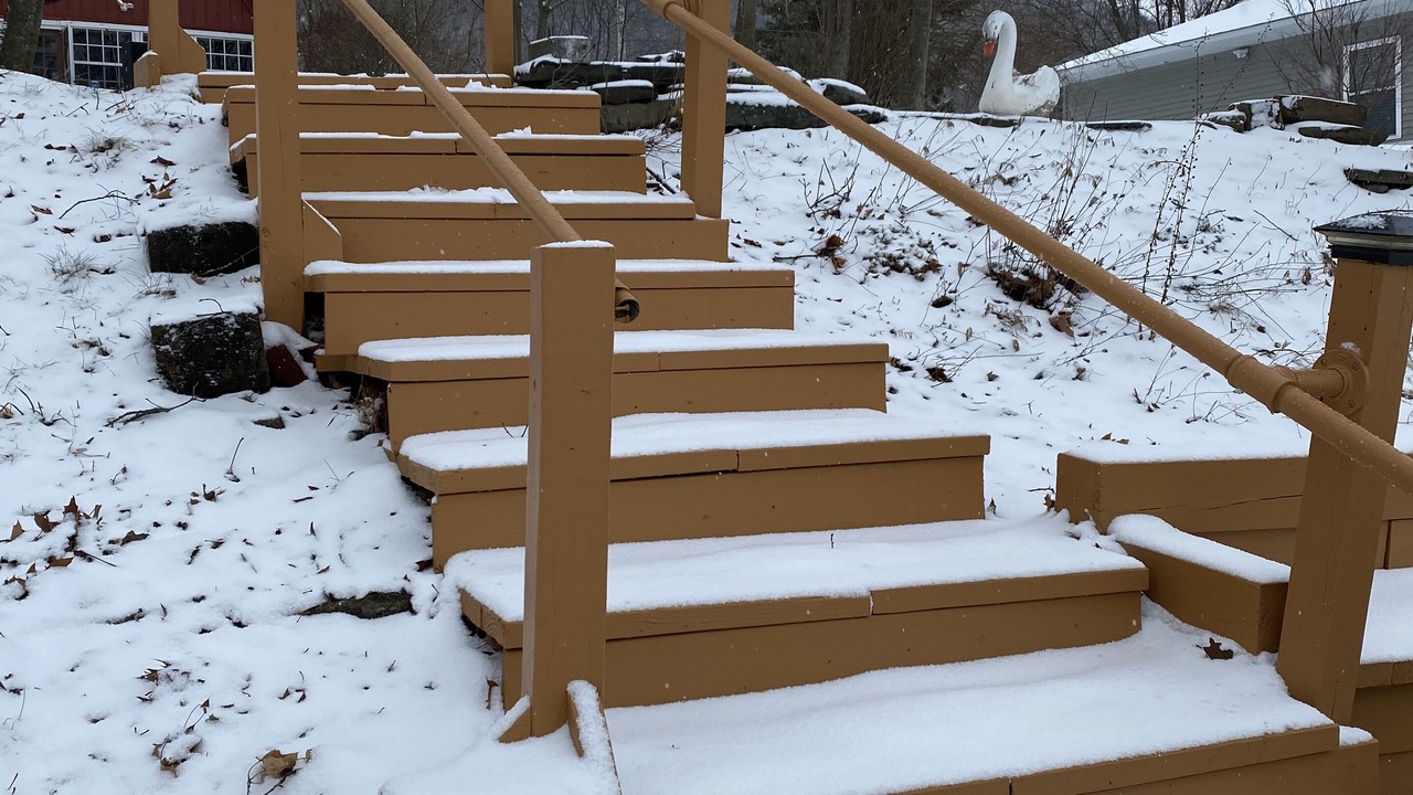 Photo of Outdoor in Homer