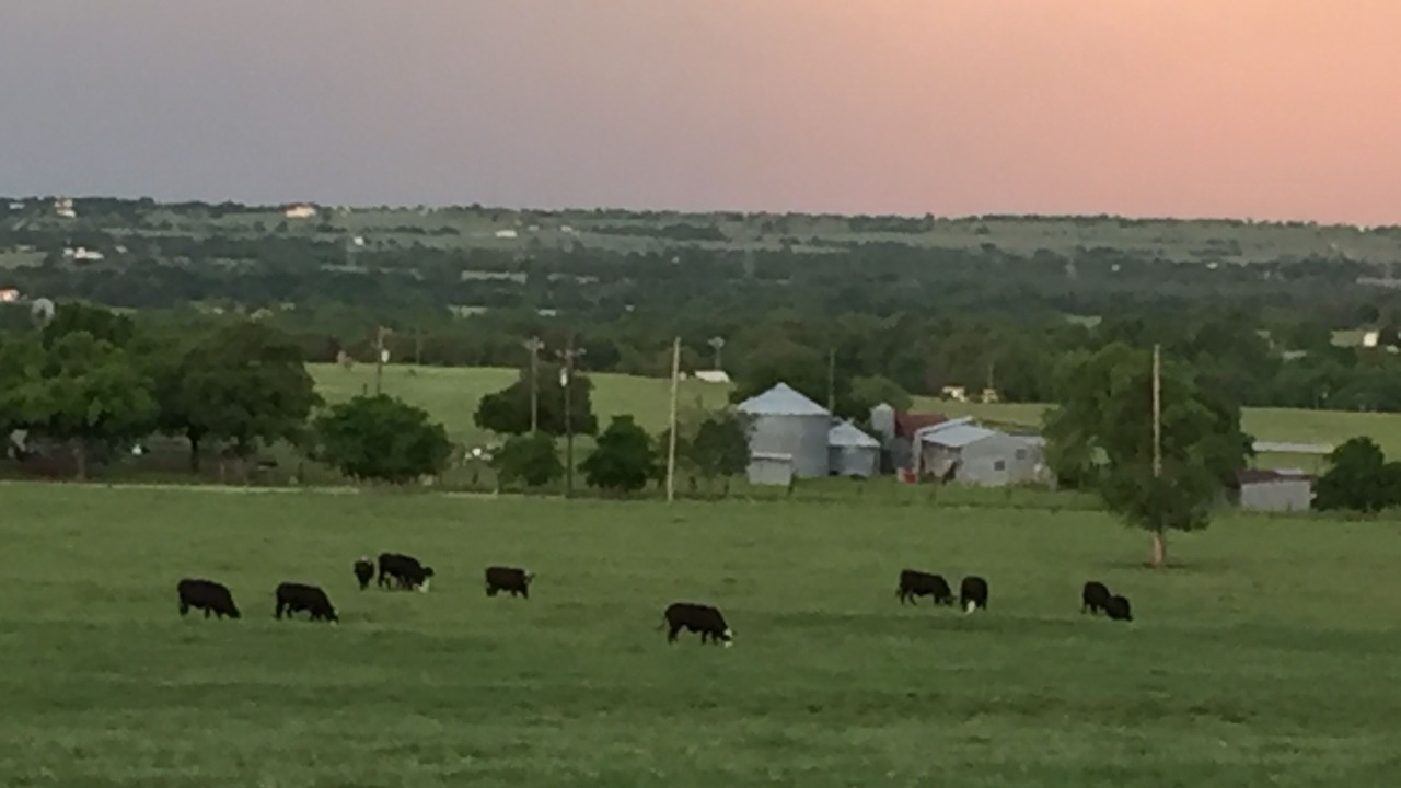 Photo of Others in Weatherford
