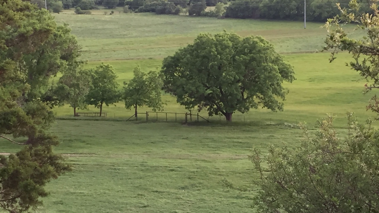 Photo of Others in Weatherford
