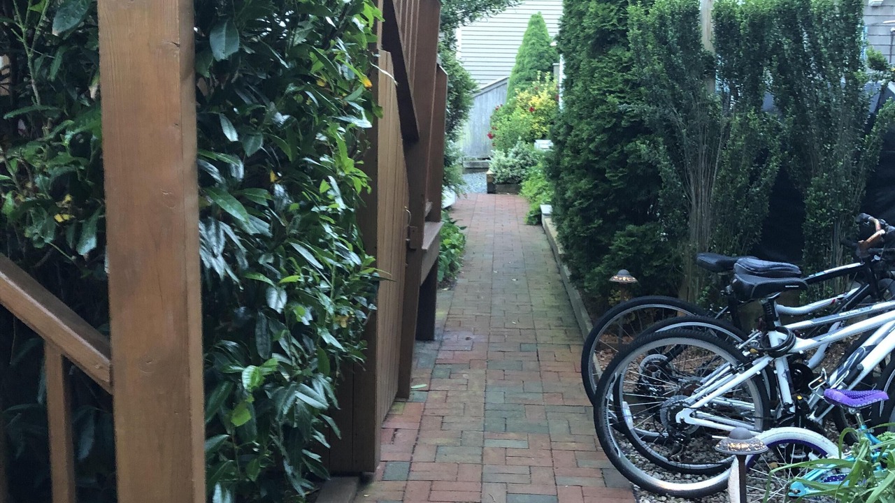 Photo of Outdoor in Provincetown