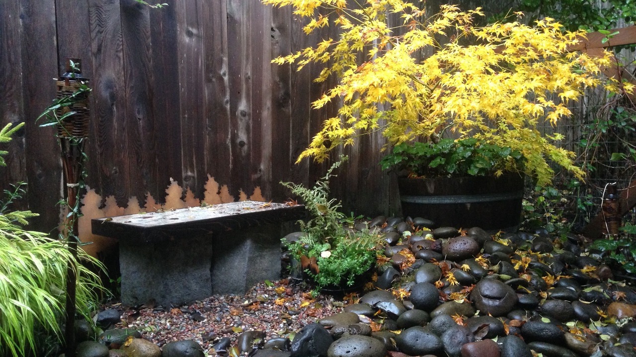Photo of Outdoor in Southeast Eugene
