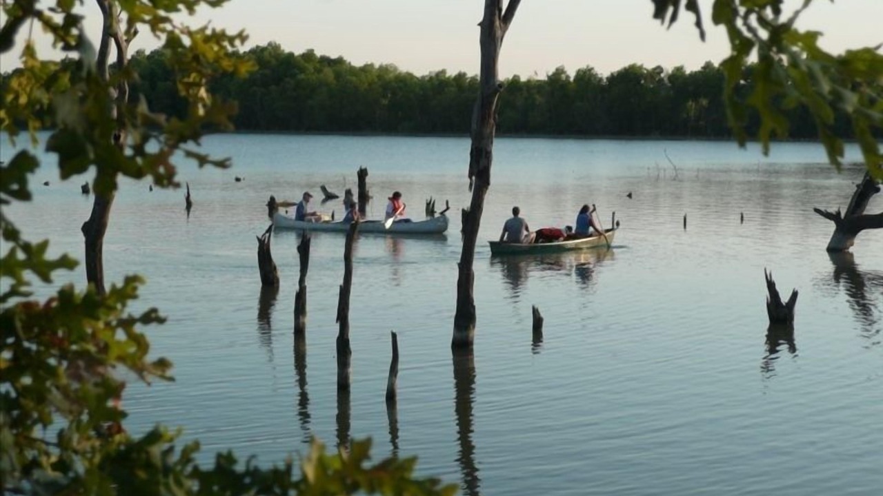 Photo of Others in Hillsboro