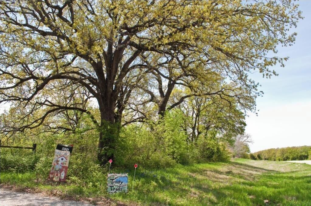 Photo of Others in Hillsboro
