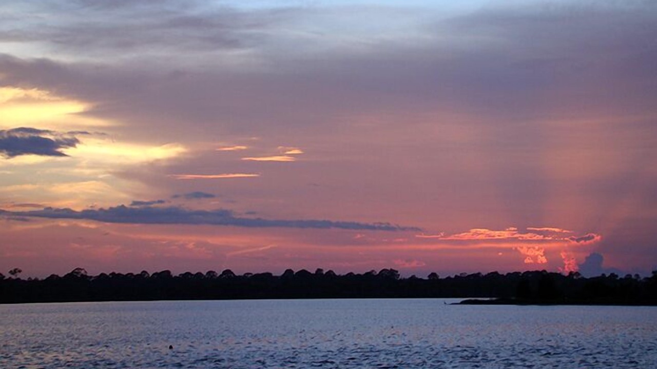 Photo of Others in Knollwood Beach